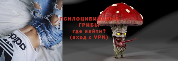 ГАЛЛЮЦИНОГЕННЫЕ ГРИБЫ Алзамай