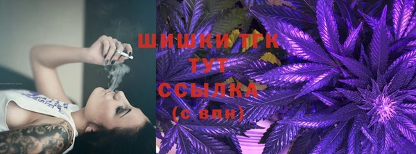 ГАЛЛЮЦИНОГЕННЫЕ ГРИБЫ Алзамай